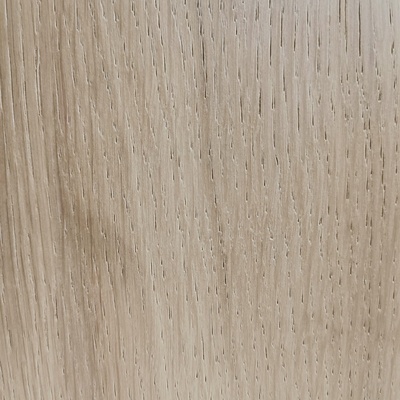 RAUVISIO RAICES ROBLE MEDITERRANEO 1220x2800