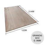 FENOLICO GRANDIS III/IV 09mm 1220x2440